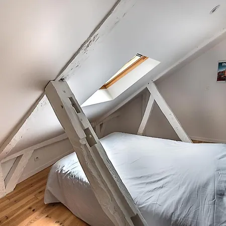 Le Donjon Des Poeliers Apartment Angers